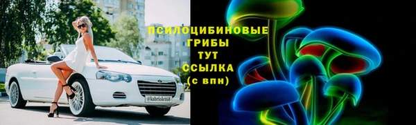 прущие грибы Новый Уренгой