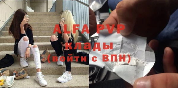 прущие грибы Новый Уренгой