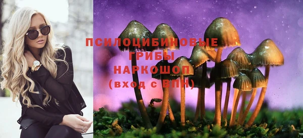 apvp Майский